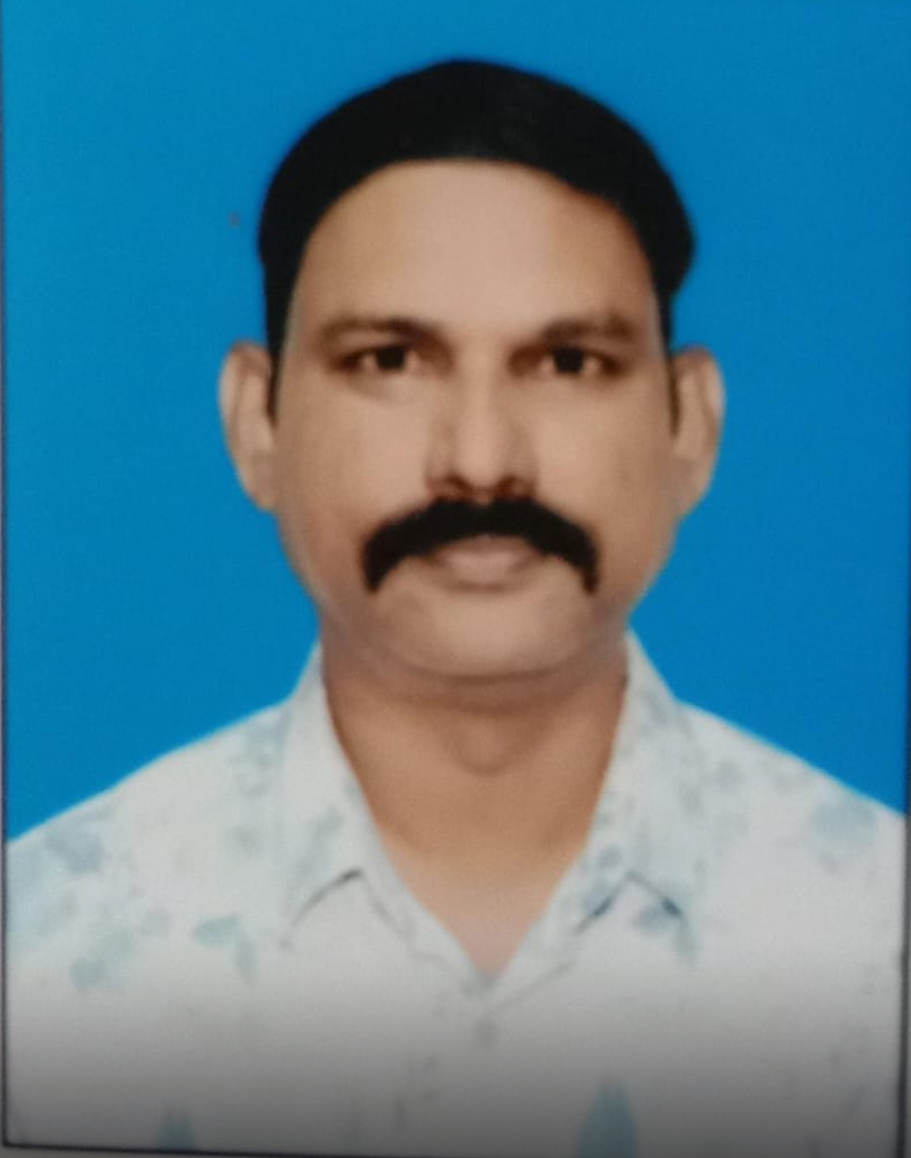 उपाध्यक्ष-नगर गाजीपुर 